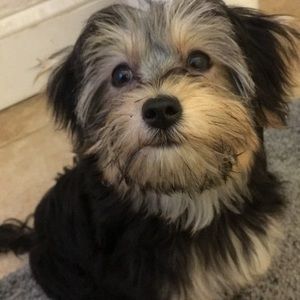 Meet your Posher, Bianca